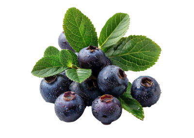 Bilberry