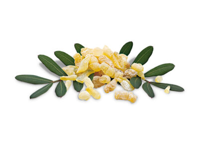 Mastic Gum