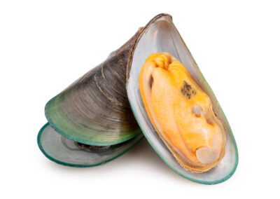 Green Lipped Mussel